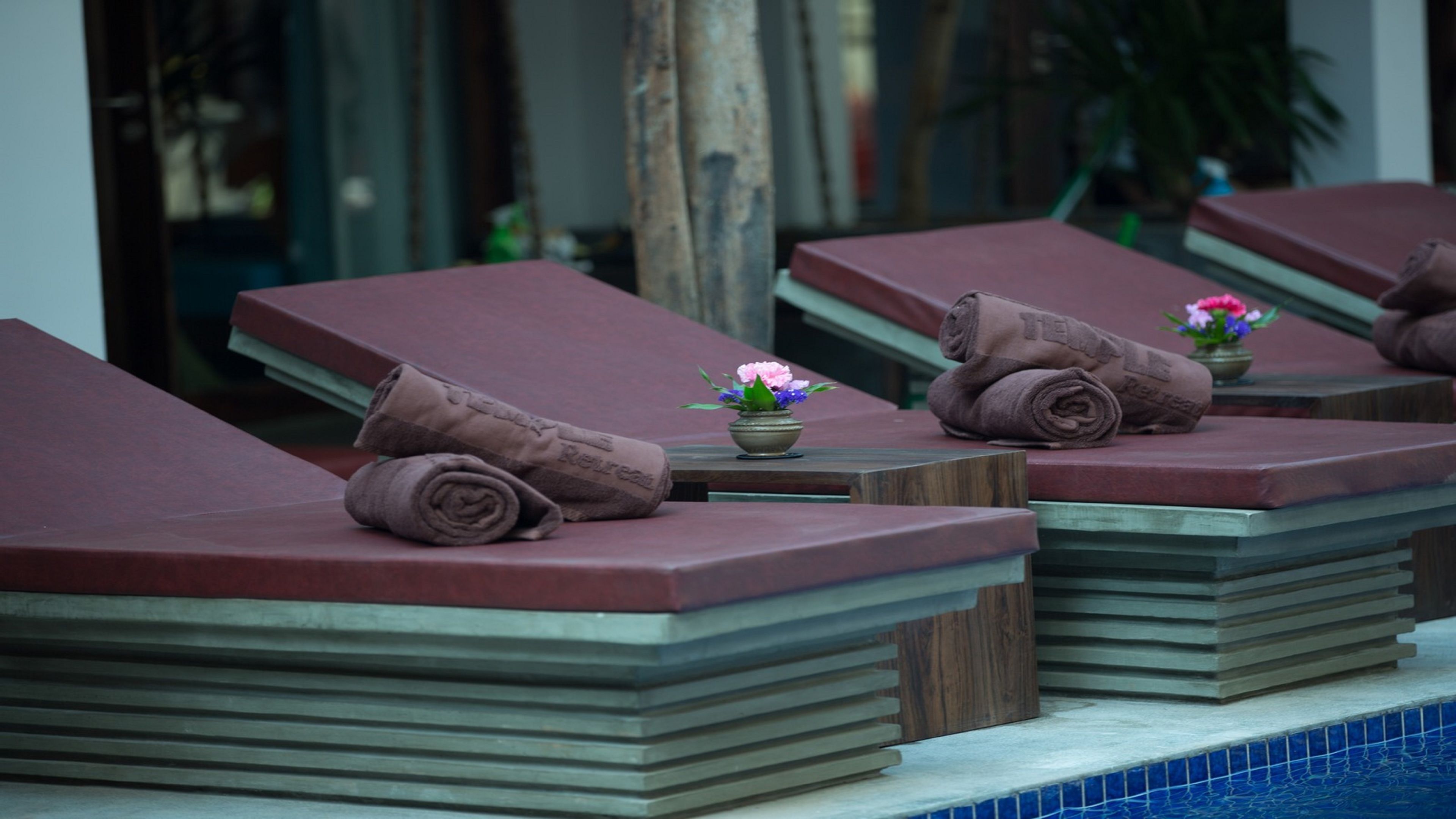 A row of sun loungers with towels and a small flower pot on each.