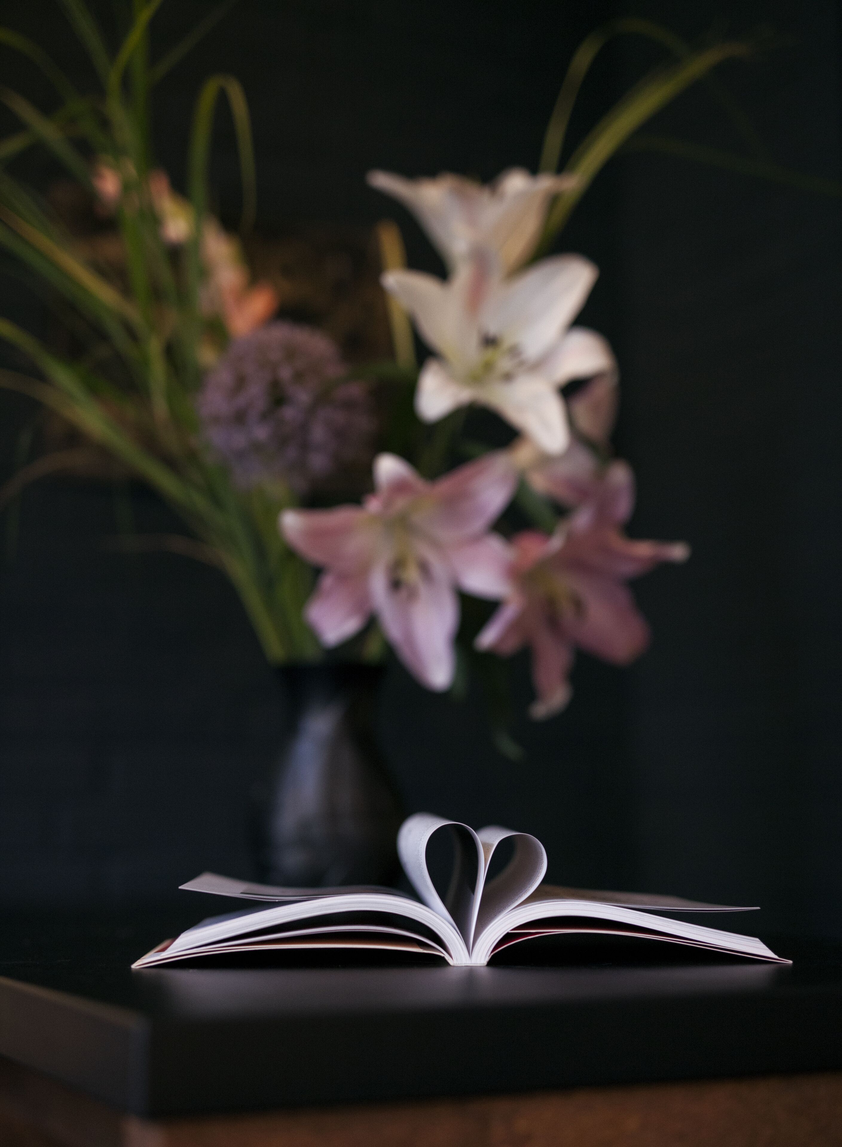Un libro abierto con una abertura en forma de corazón sobre una superficie oscura.