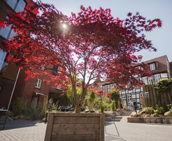 Fachada de la propiedad