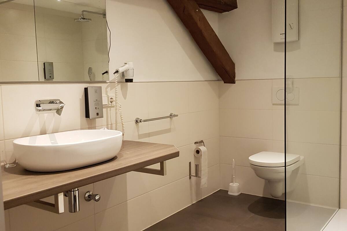 shower, free toiletries, hair dryer, towels