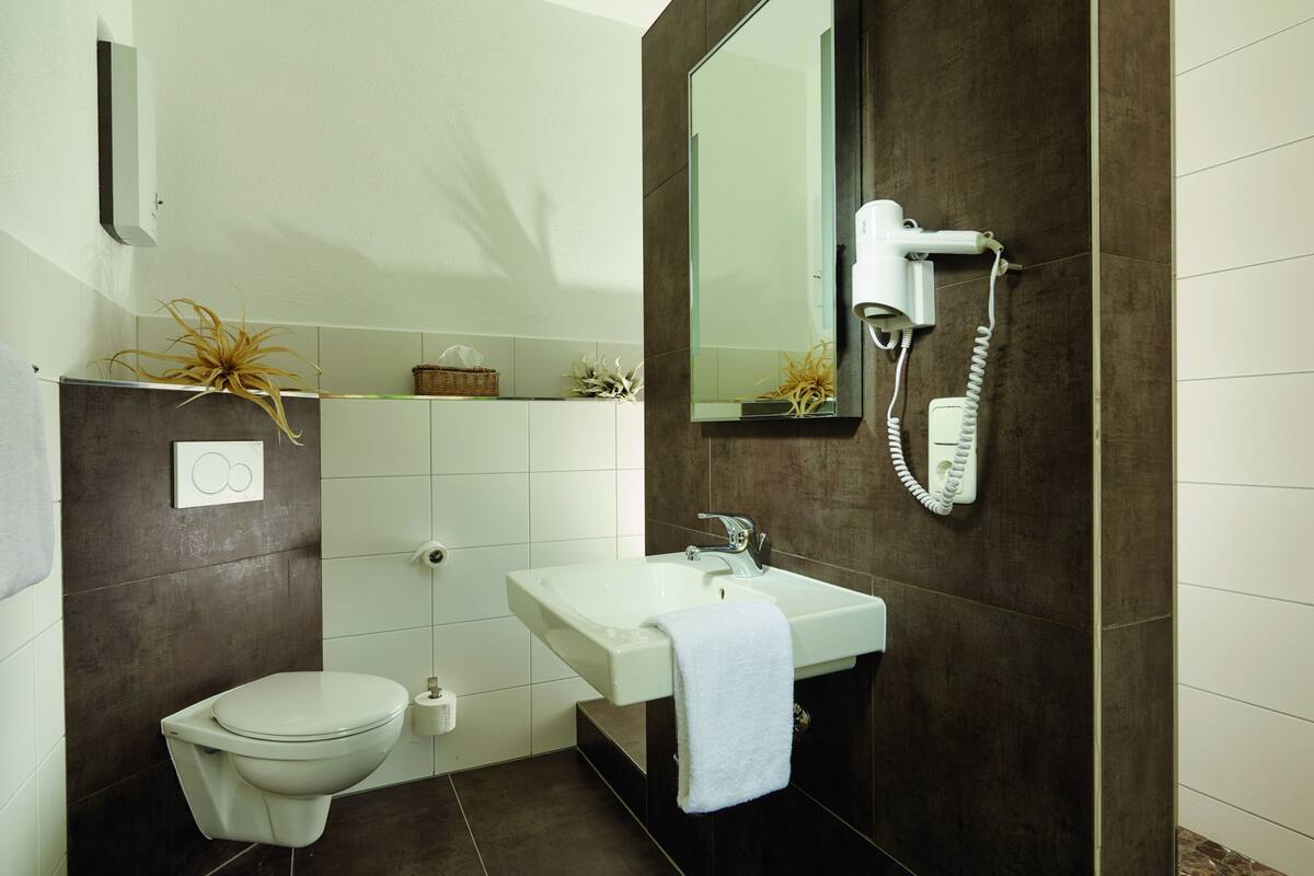 shower, free toiletries, hair dryer, towels