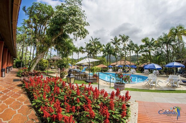 Indoor pool, outdoor pool, pool loungers