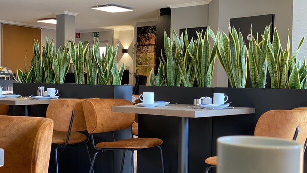 A modern cafe with orange chairs, tables, and green plants. - Hotel zur Bever (Telgte)