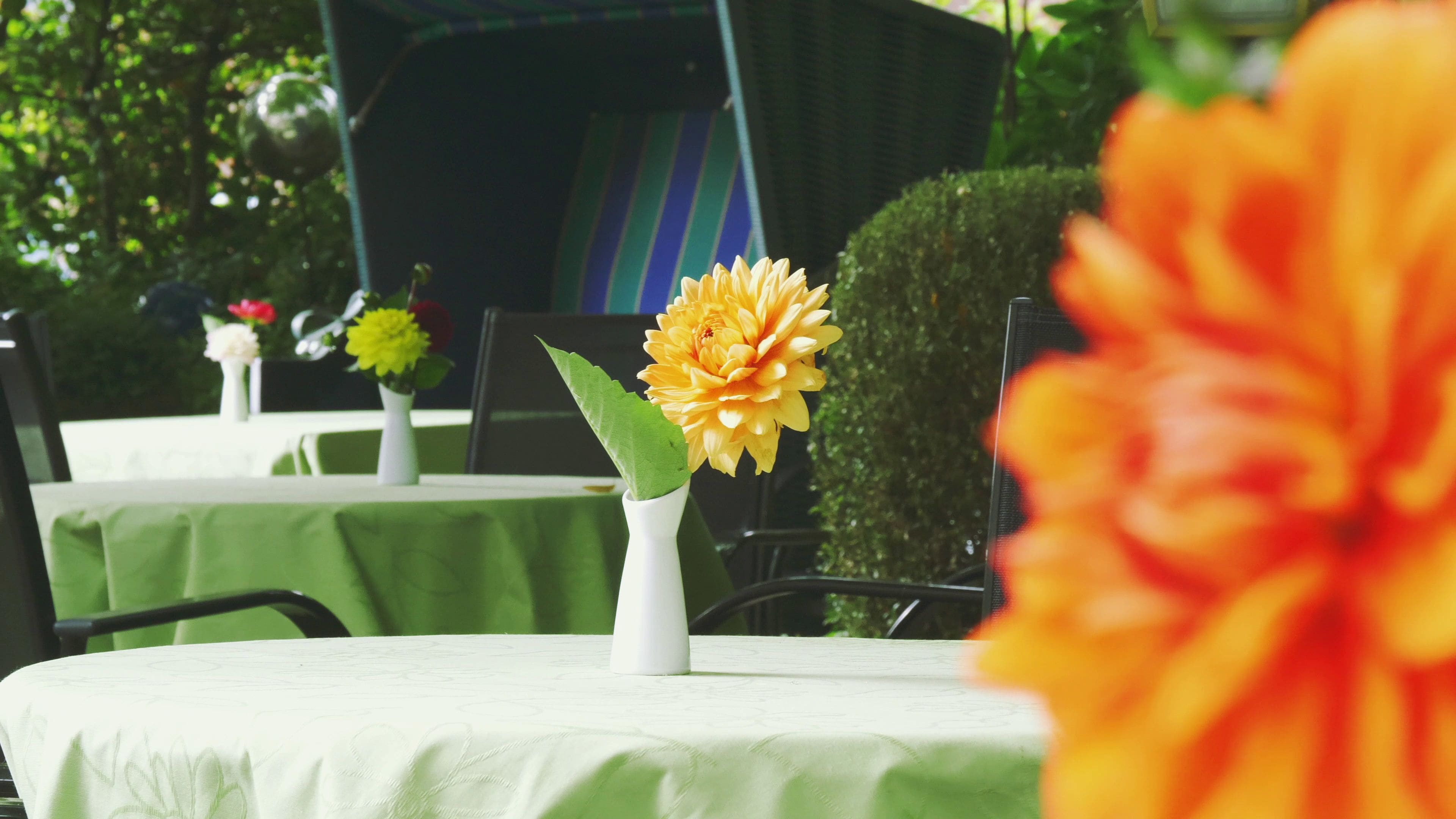 A table with a white vase containing a yellow flower, green tablecloth, and a chair.
