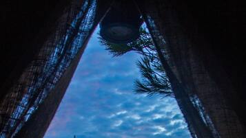 Tent | Kameruitzicht