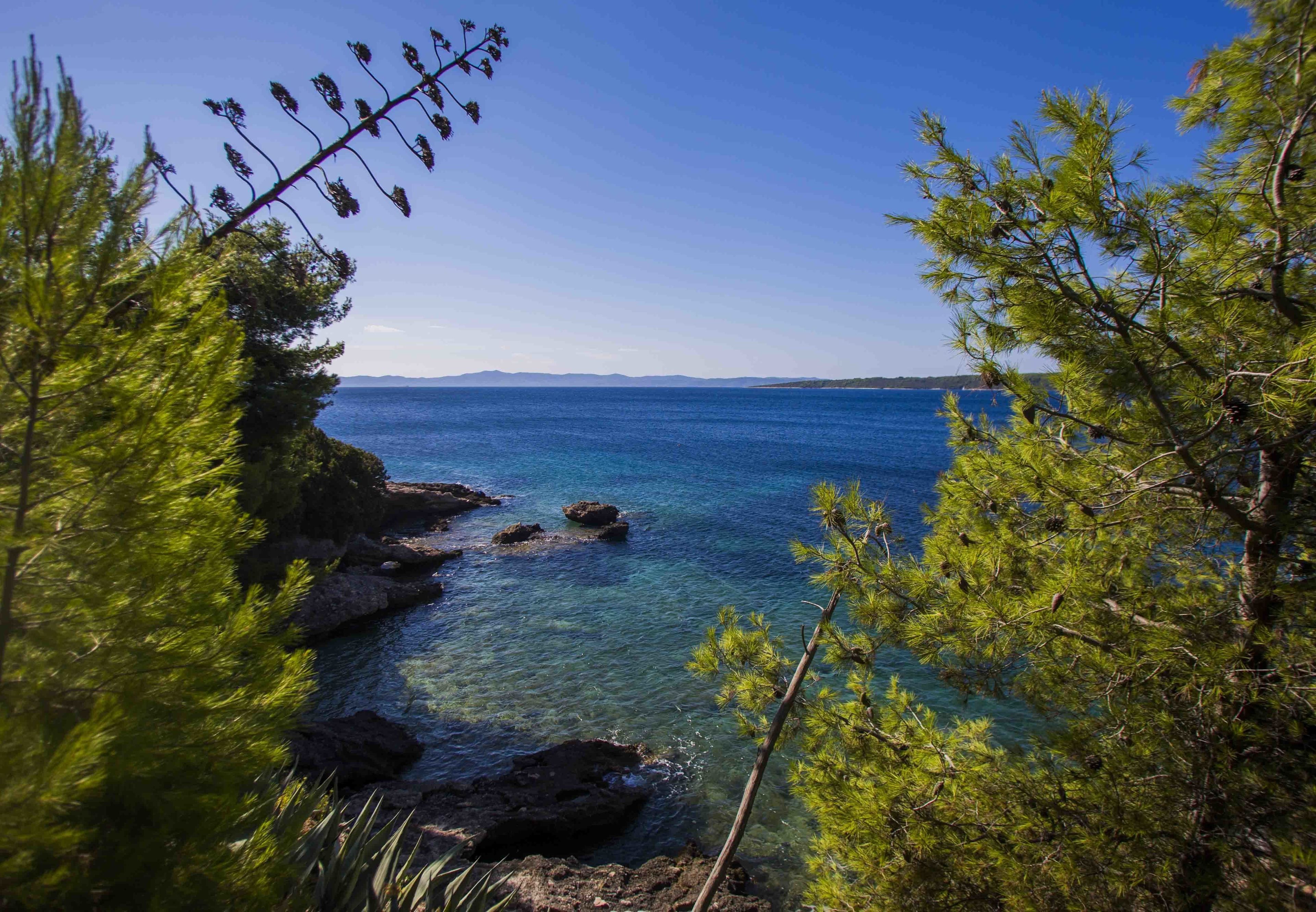 On the beach, snorkelling, windsurfing, kayaking