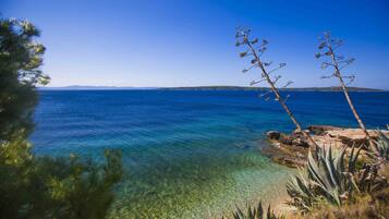 Aan het strand, snorkelen, windsurfen, kajakken