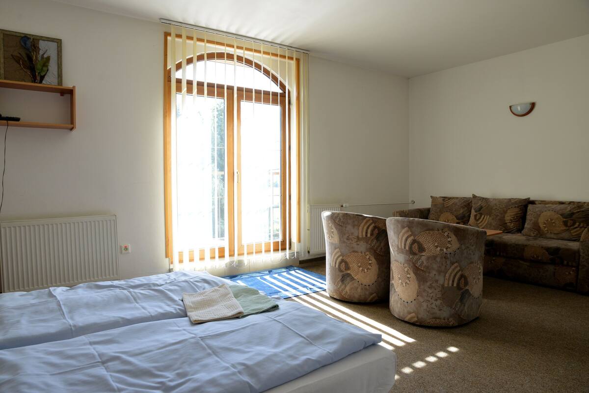 Una habitaci ón con una cama, un sofá y un reposapiés estampado.