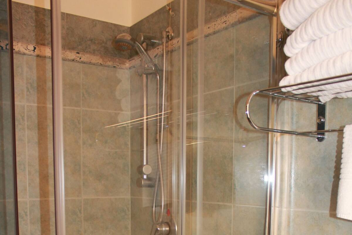 Shower, free toiletries, hair dryer, bidet