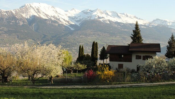Aerial view - Bellevie BnB (Vex)