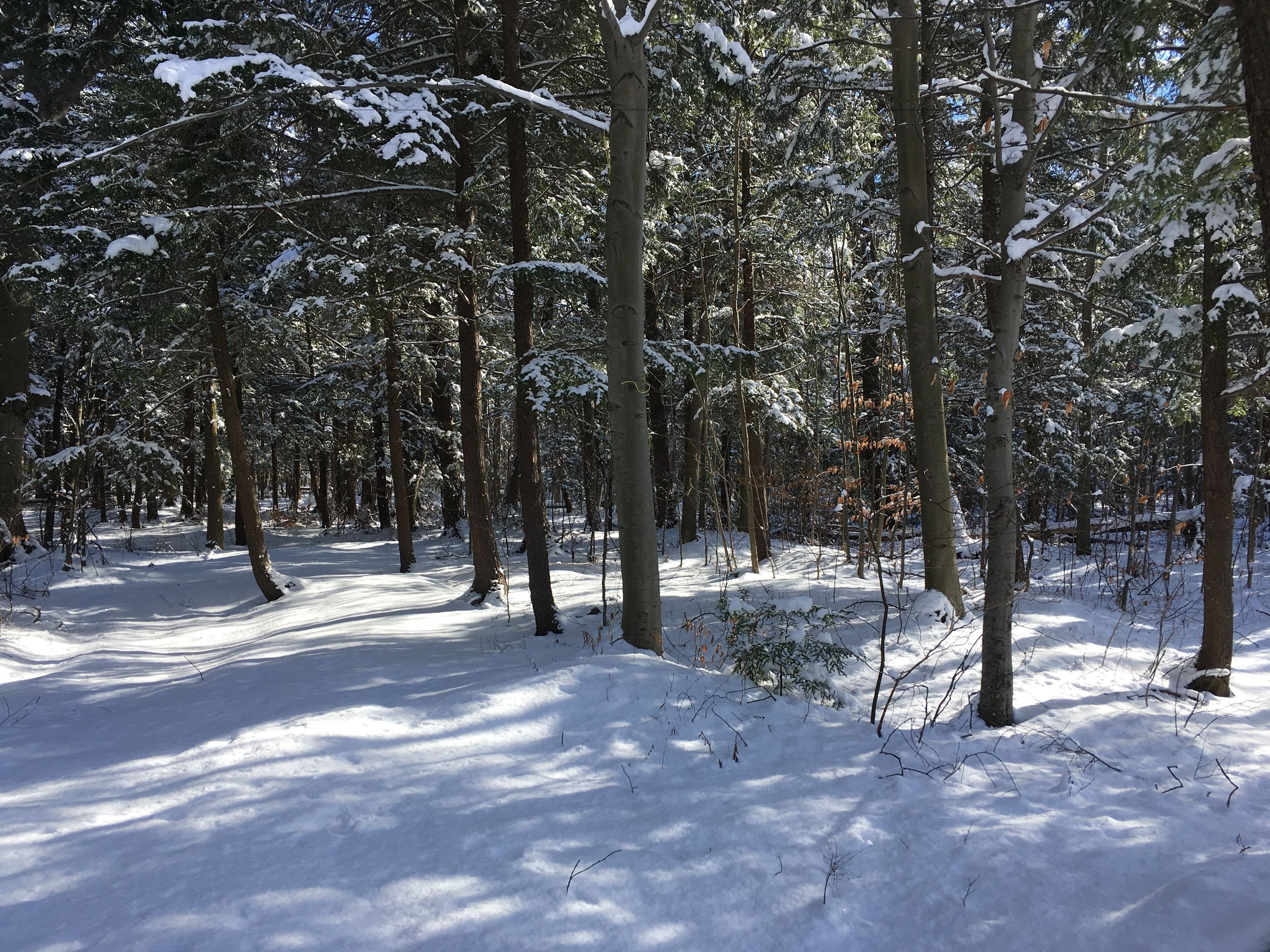 land view from property