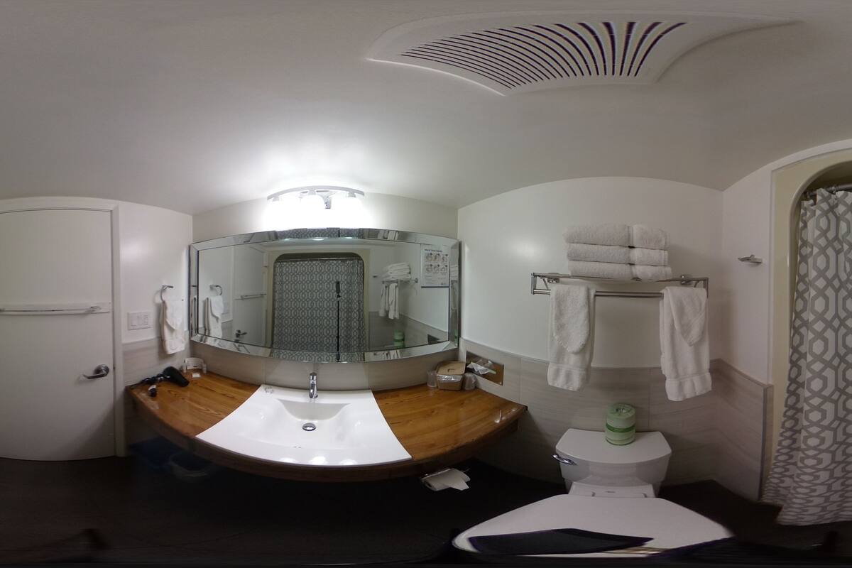 combined shower/bathtub, free toiletries, hair dryer, towels