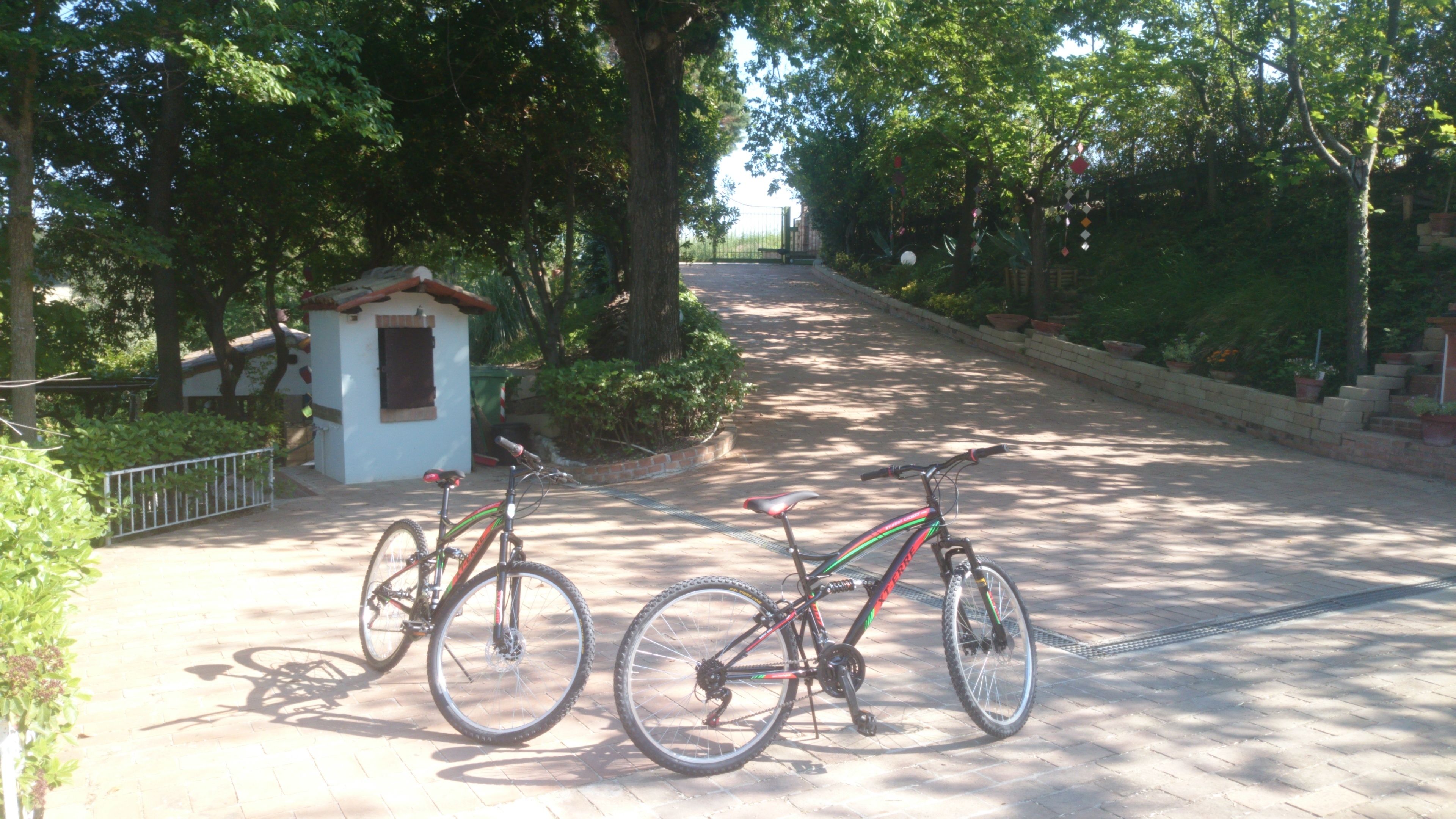 A paved pathway with two bicycles parked on the side.