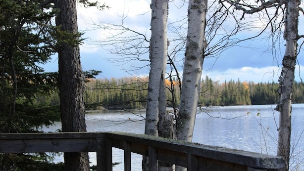 A wooden deck overlooking a lake with birch trees and a forest in the background. - Woman River Camp (Unorganized Kenora District)