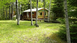 A cabin surrounded by tall trees in a forest. - Woman River Camp (Unorganized Kenora District)