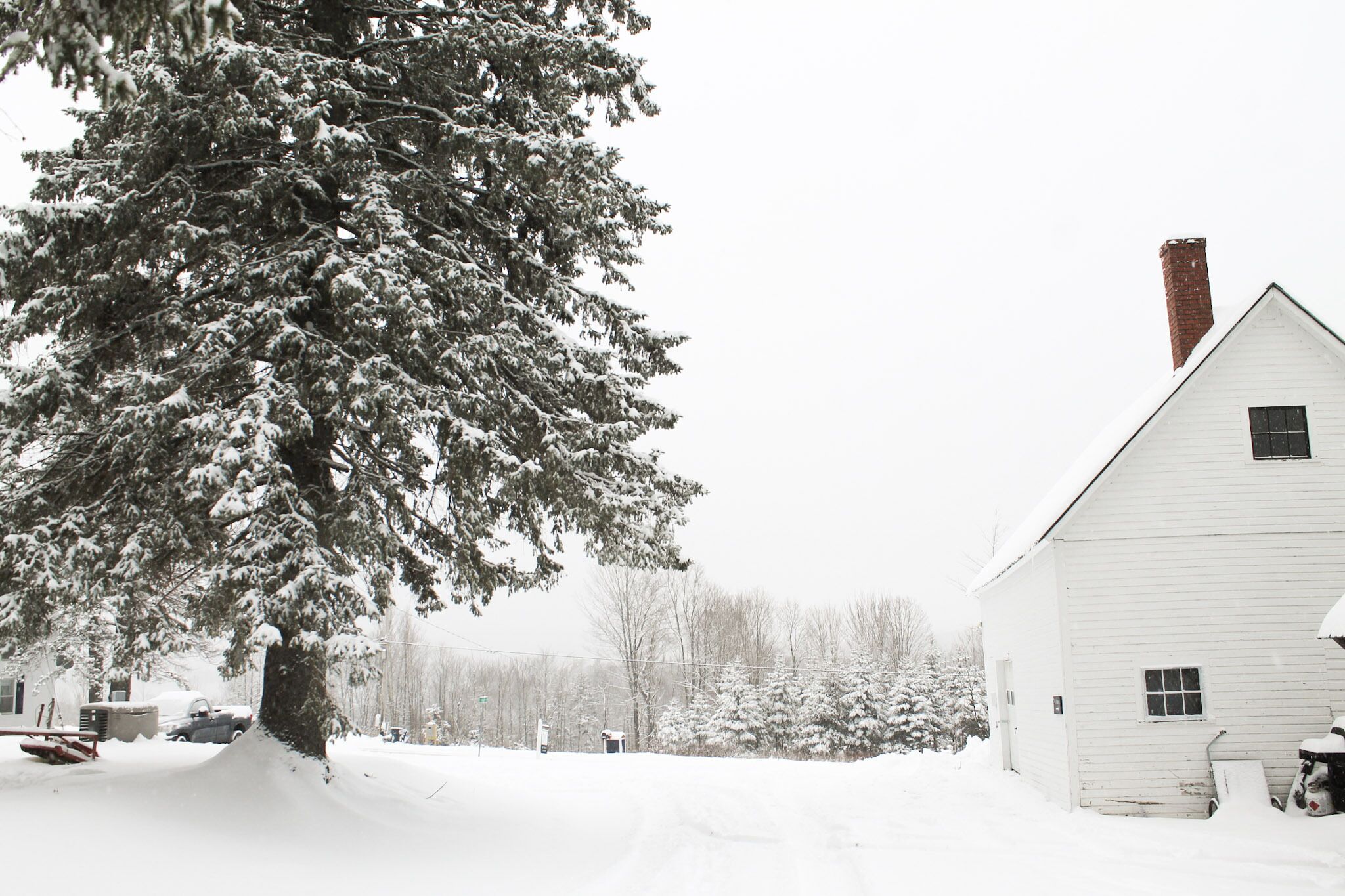 A snow-covered landscape with a white building and a large evergreen tree.