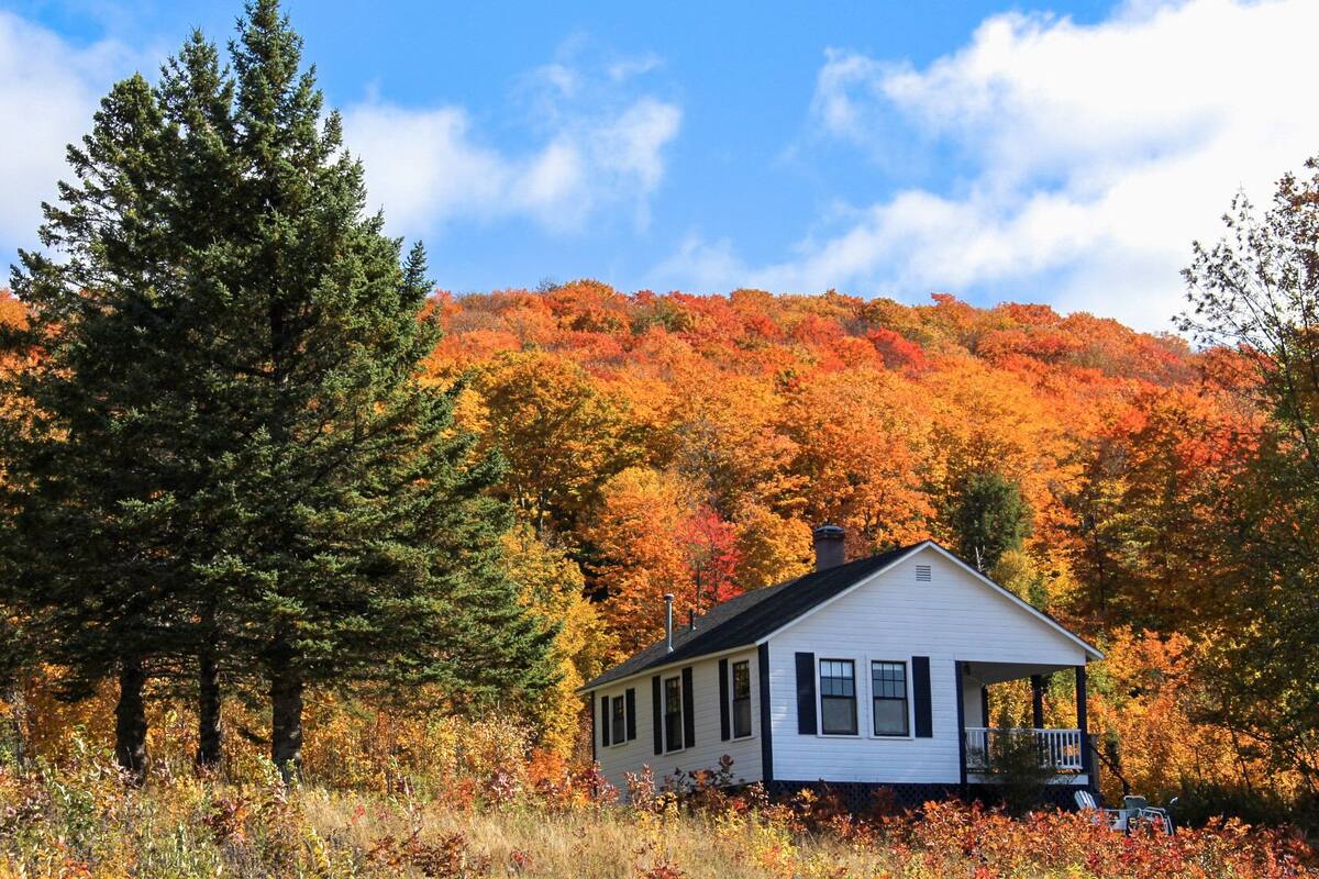 A white cabin with a porch, surrounded by autumn foliage and a large evergreen tree.