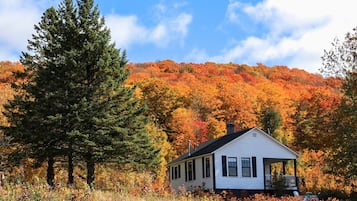 Edna Cabin | Individually decorated, individually furnished, free WiFi, bed sheets