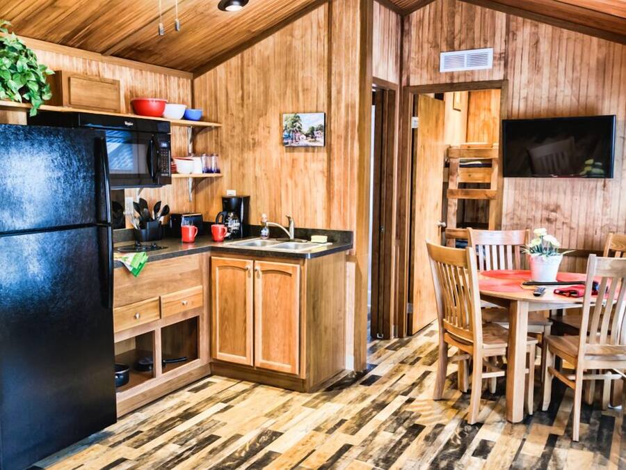 Large Cabin | Private kitchenette | Fridge, microwave, freezer