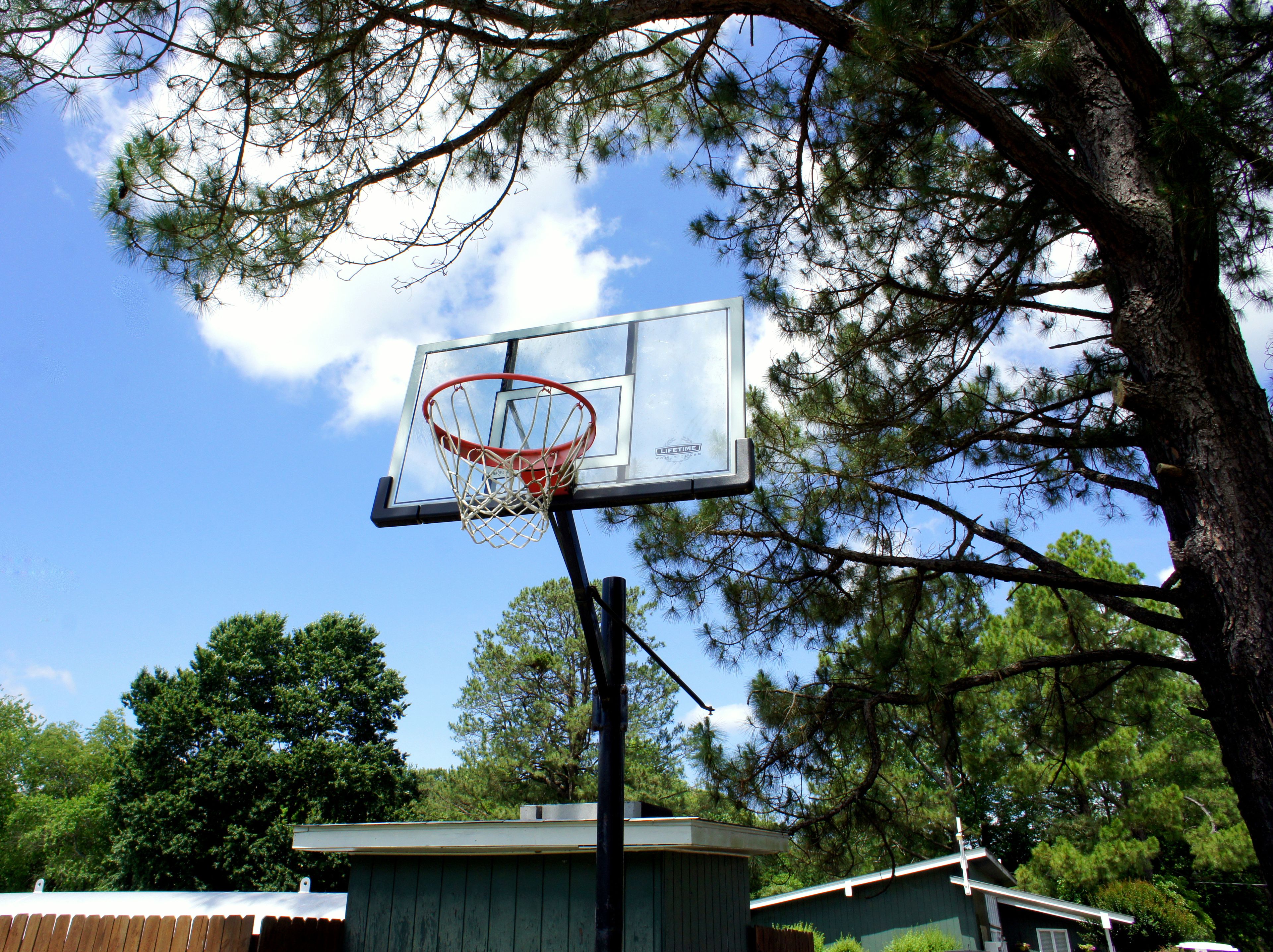 A basketball hoop with a net, set against a backdrop of trees and a clear sky.
