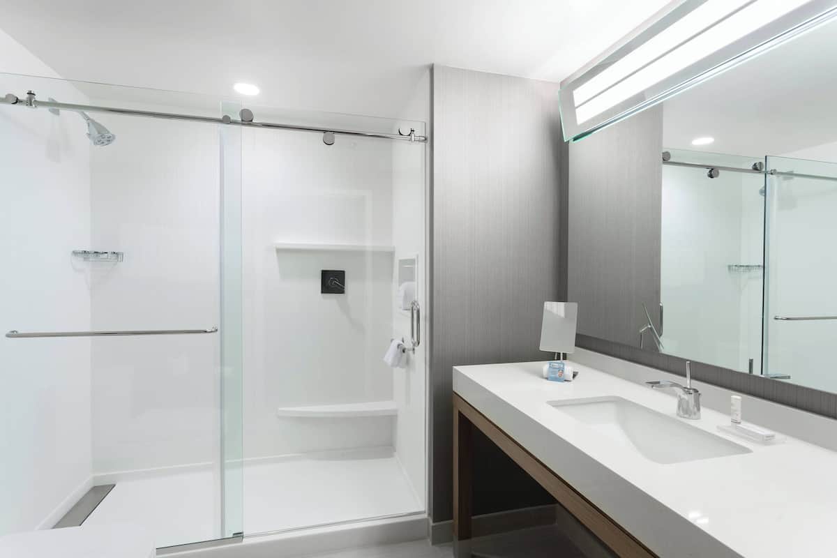 shower, free toiletries, hair dryer, towels