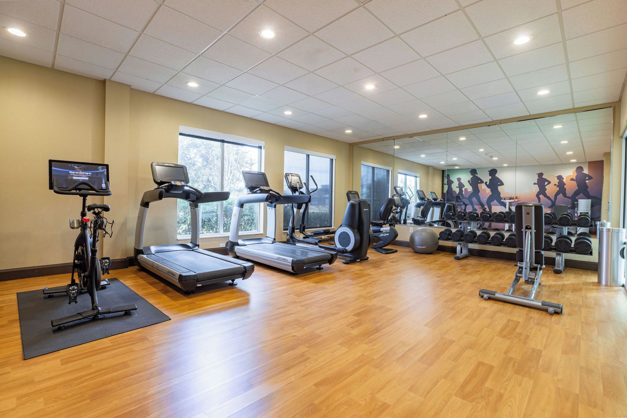Area fitness