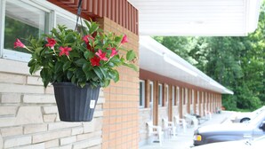 A hanging planter with red flowers in front of a brick building with white windows and a covered porch. - Martin's Inn (Cornwall)
