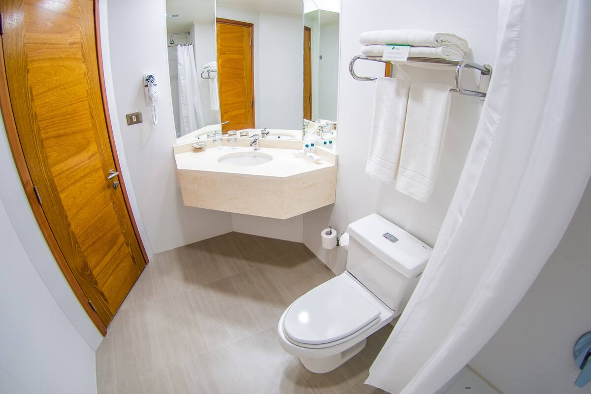 combined shower/bathtub, free toiletries, hair dryer, towels