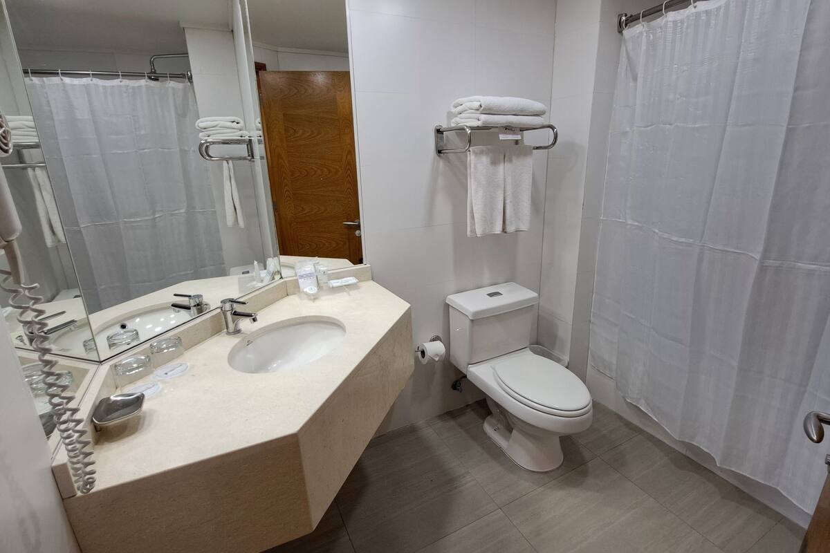 combined shower/bathtub, free toiletries, hair dryer, towels