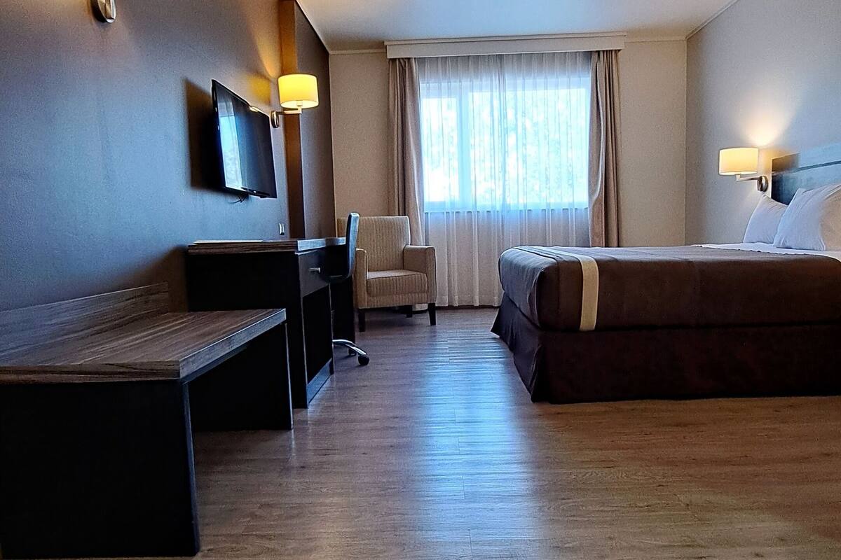 standard single room | minibar, in-room safe, desk, soundproofing