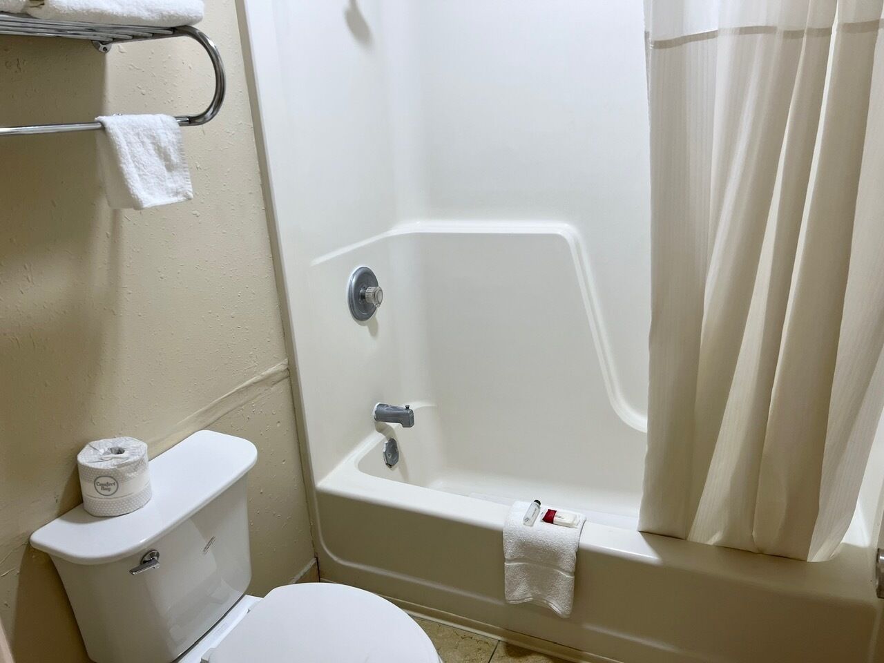 A bathroom with a toilet, a bathtub, and a shower curtain.