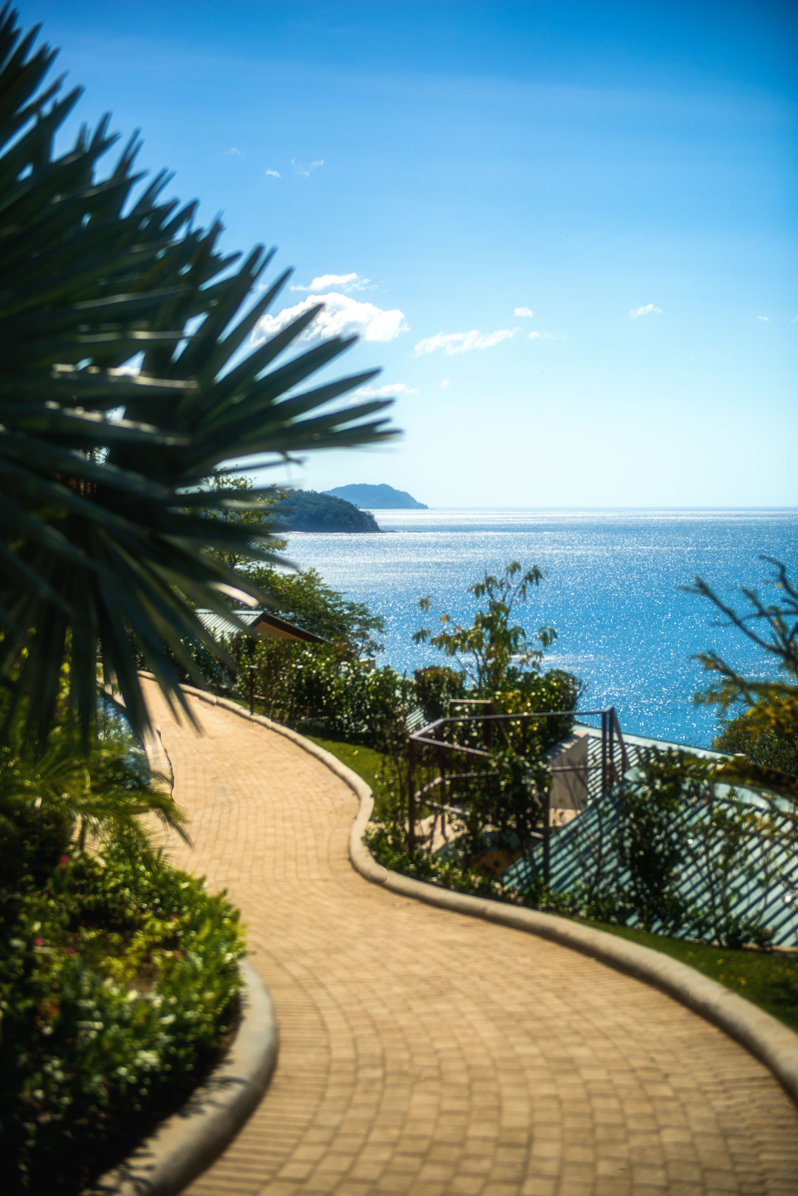 Un camino pavimentado serpentea por una zona ajardinada, con vistas al mar y a la costa distante.