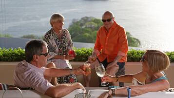A group of people toasting at a table with a view of the sea.