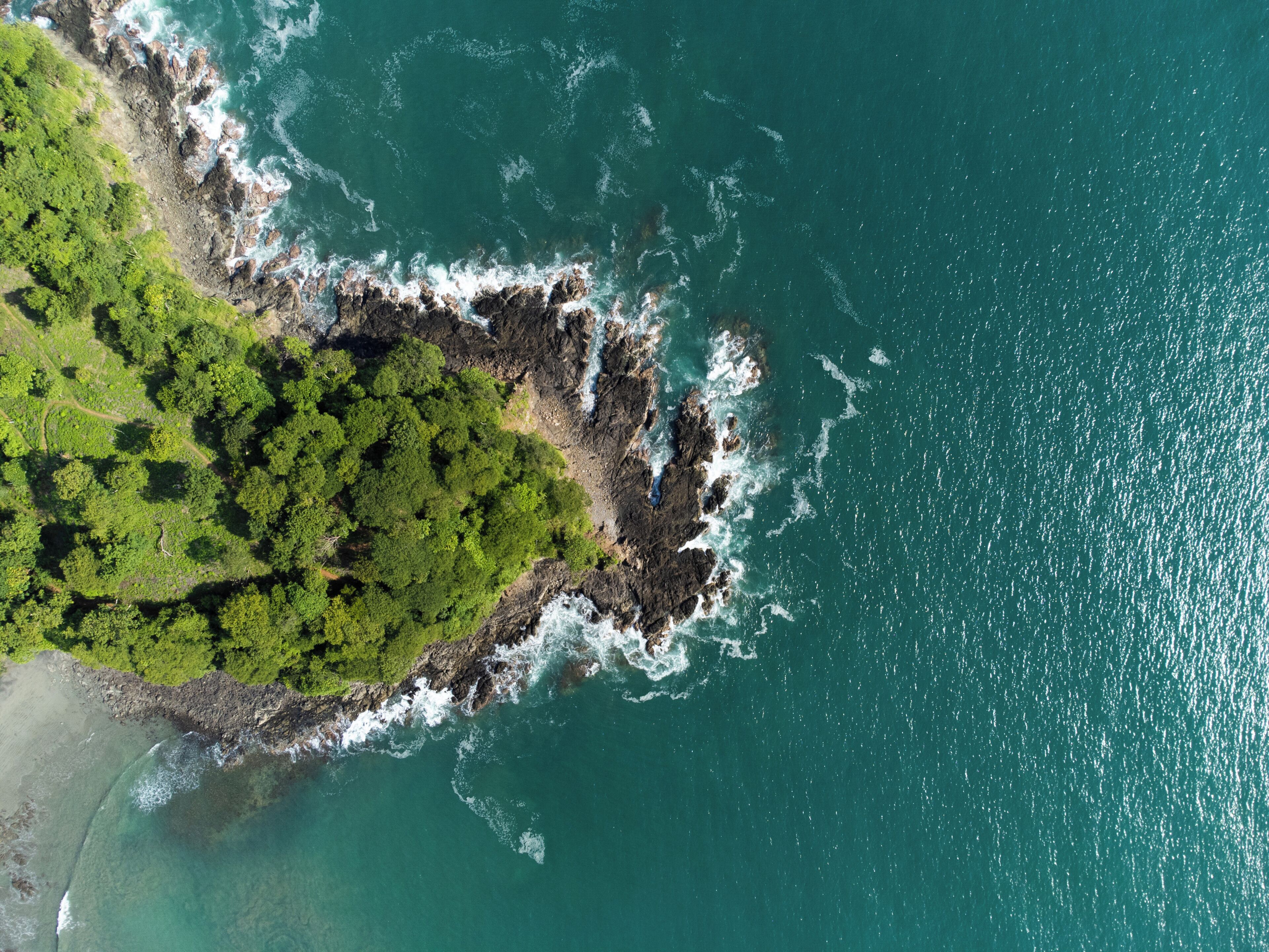 An aerial view of a coastal area with rocky terrain, dense green vegetation, and clear turquoise waters.