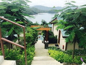 Servicio de la propiedad