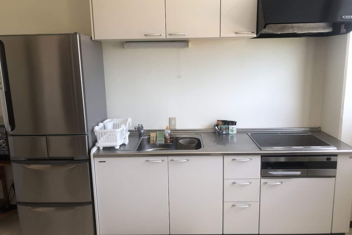 apartment, 2 bedrooms | private kitchen | fridge, microwave, electric kettle