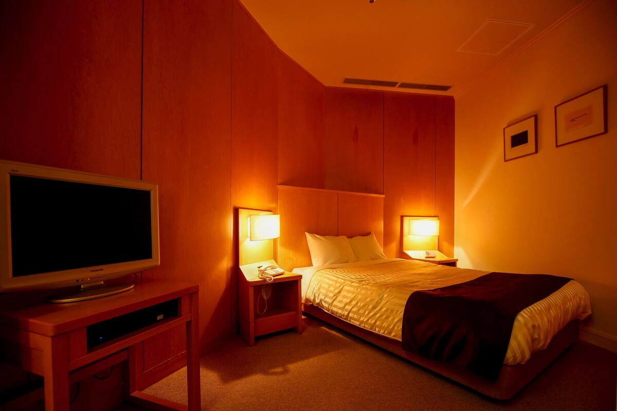 A hotel room with a bed, bedside lamps, a TV, and a telephone.