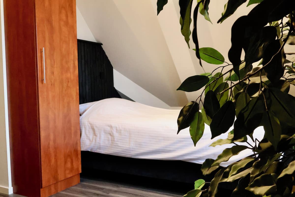 A bedroom with a bed, a wooden wardrobe, and a plant.