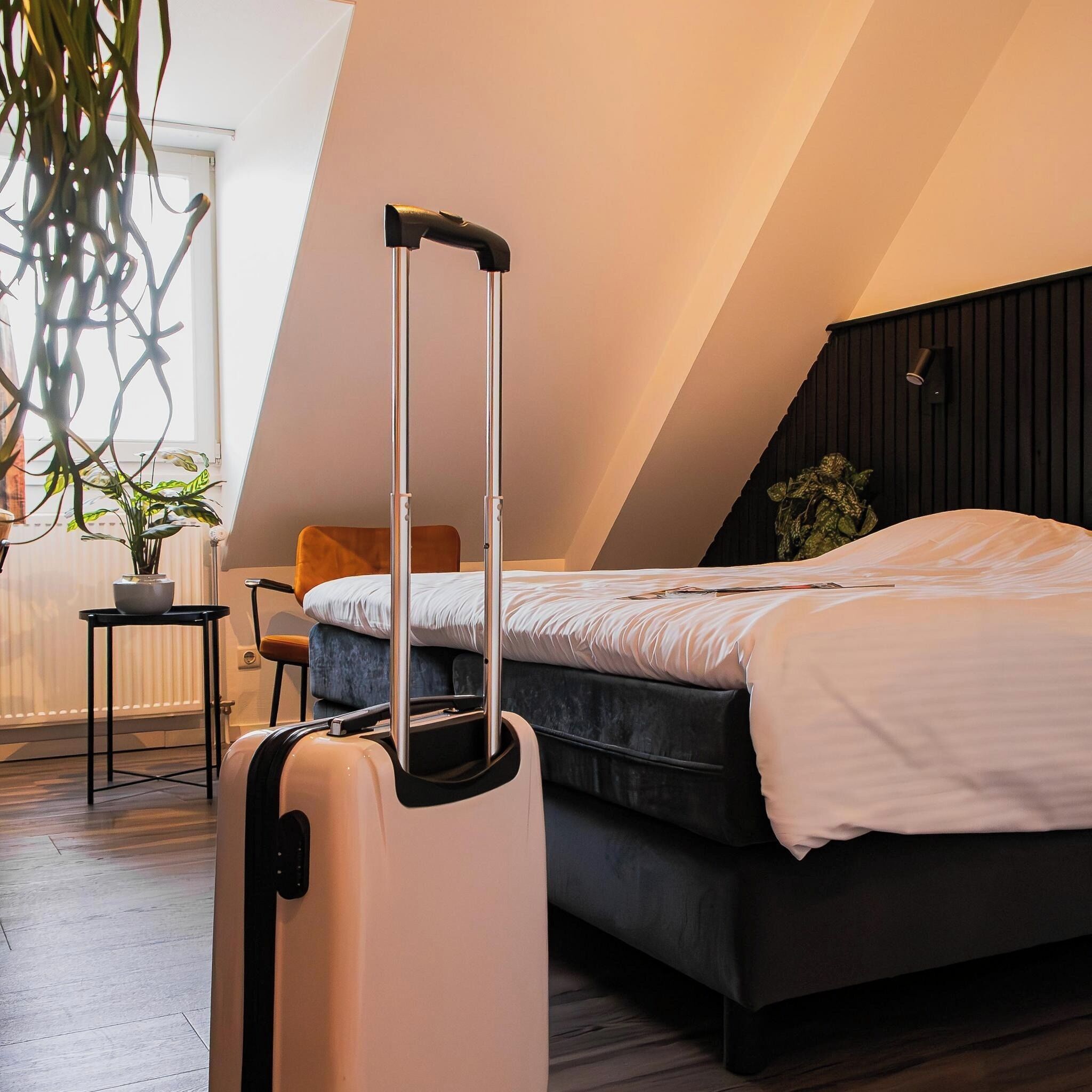 Habitación Confort, accesible en silla de ruedas | Caja fuerte, escritorio, wifi gratis y ropa de cama