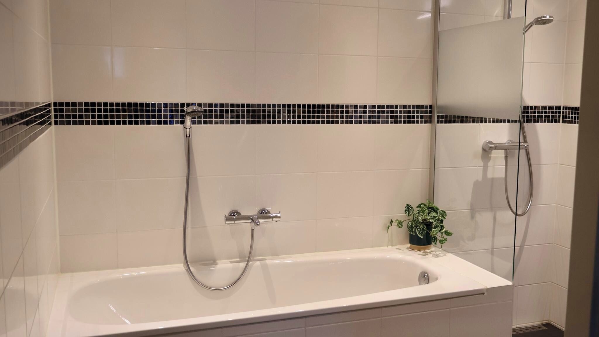Une salle de bain avec une baignoire, une douche et une petite plante en pot.