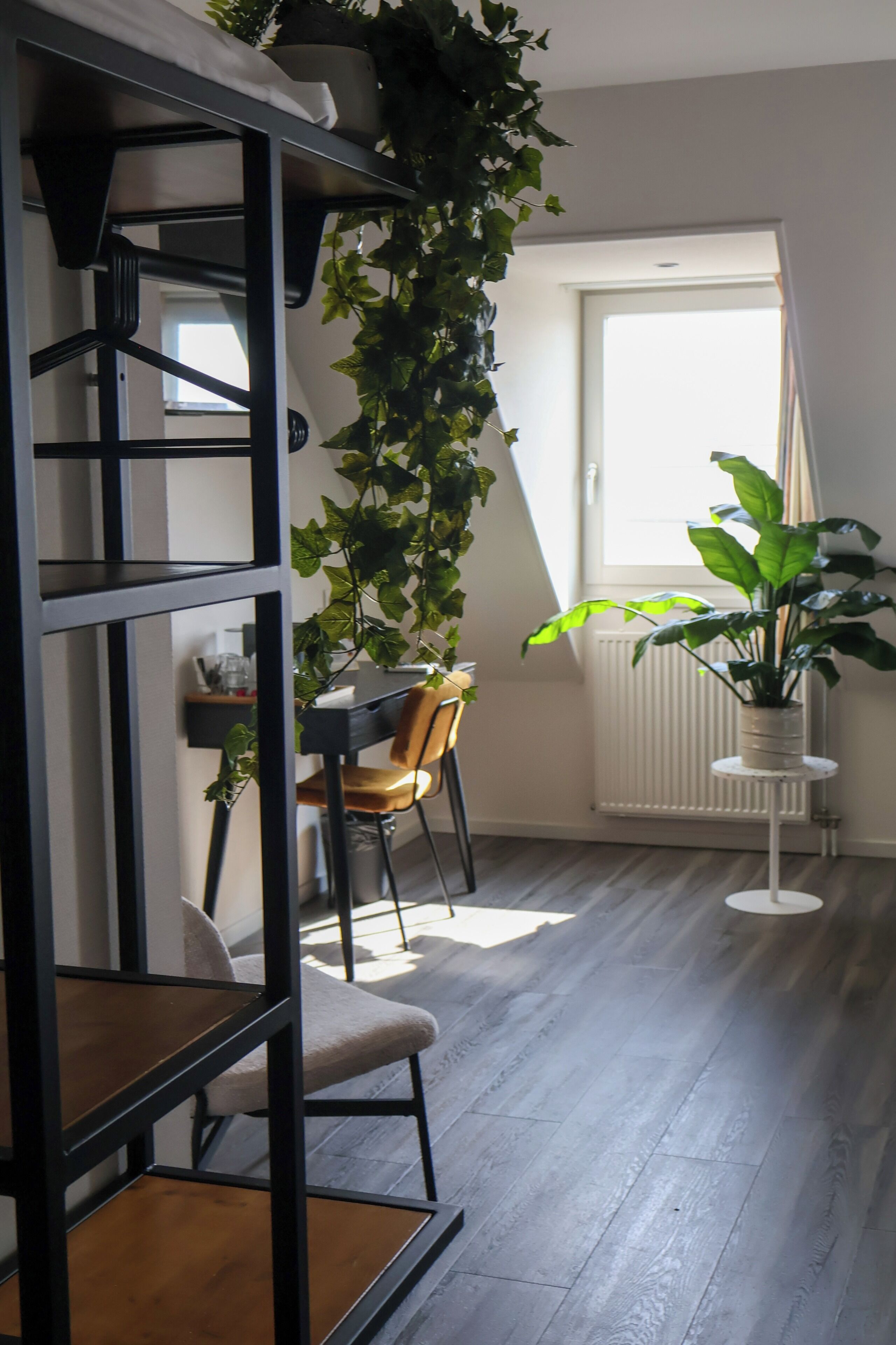 Photo - Moeke Mooren