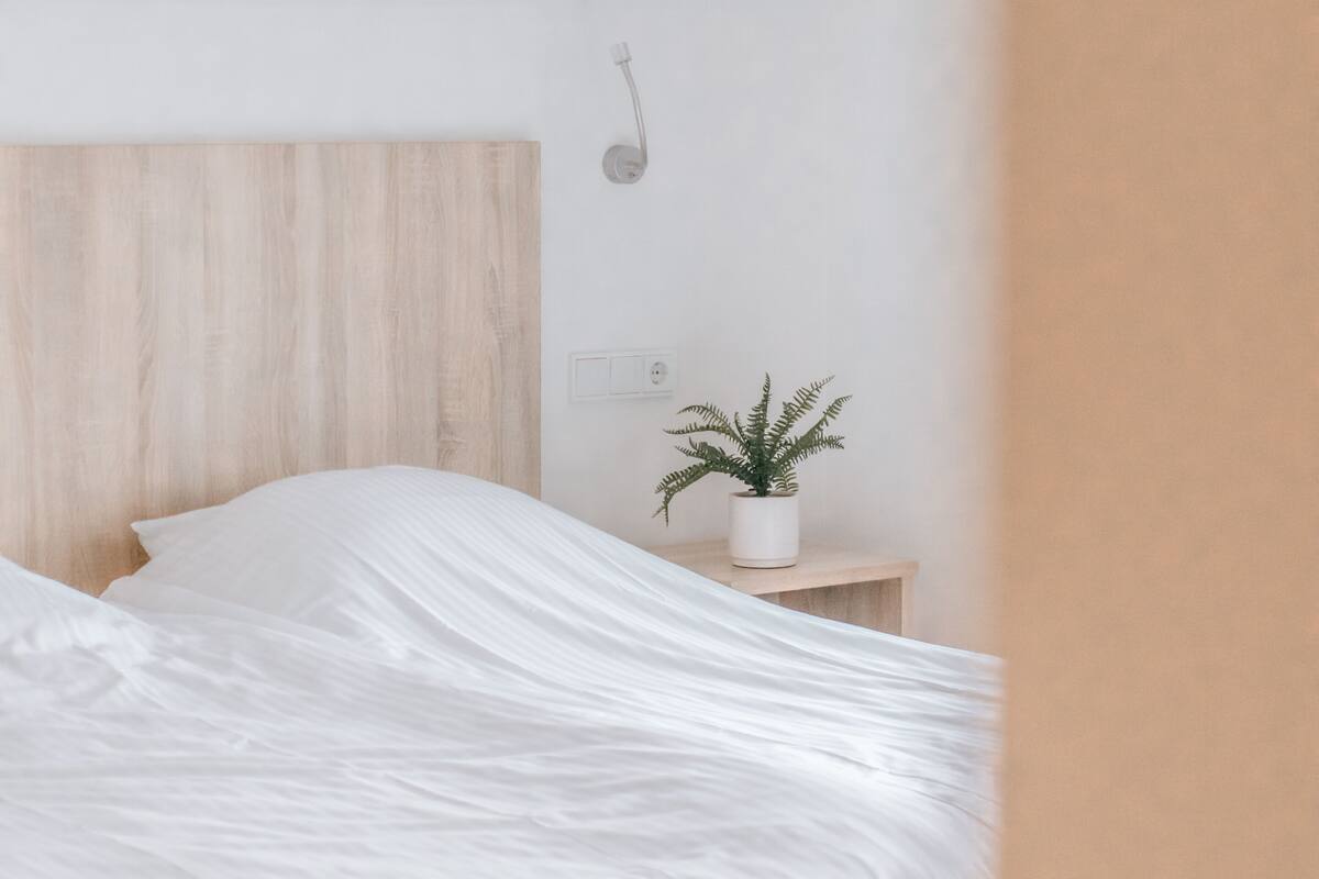 A neatly made bed with white bedding, a wooden headboard, a bedside table with a potted plant, and a wall-mounted light fixture.