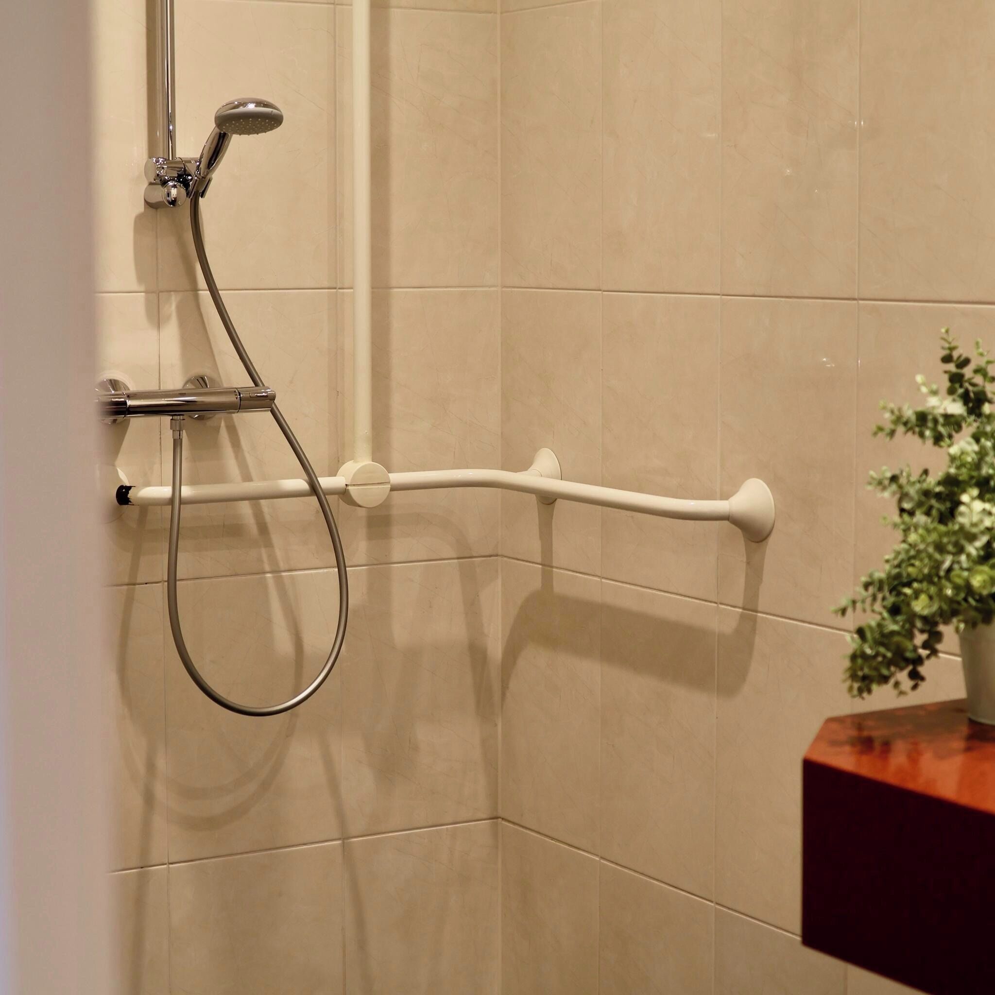 A shower with a handheld showerhead, a wall-mounted handrail, and a potted plant on a wooden counter.