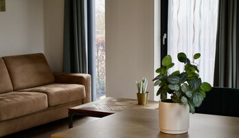 Una sala de estar moderna con un sofá color beige, una mesa de centro de madera y una planta en maceta.