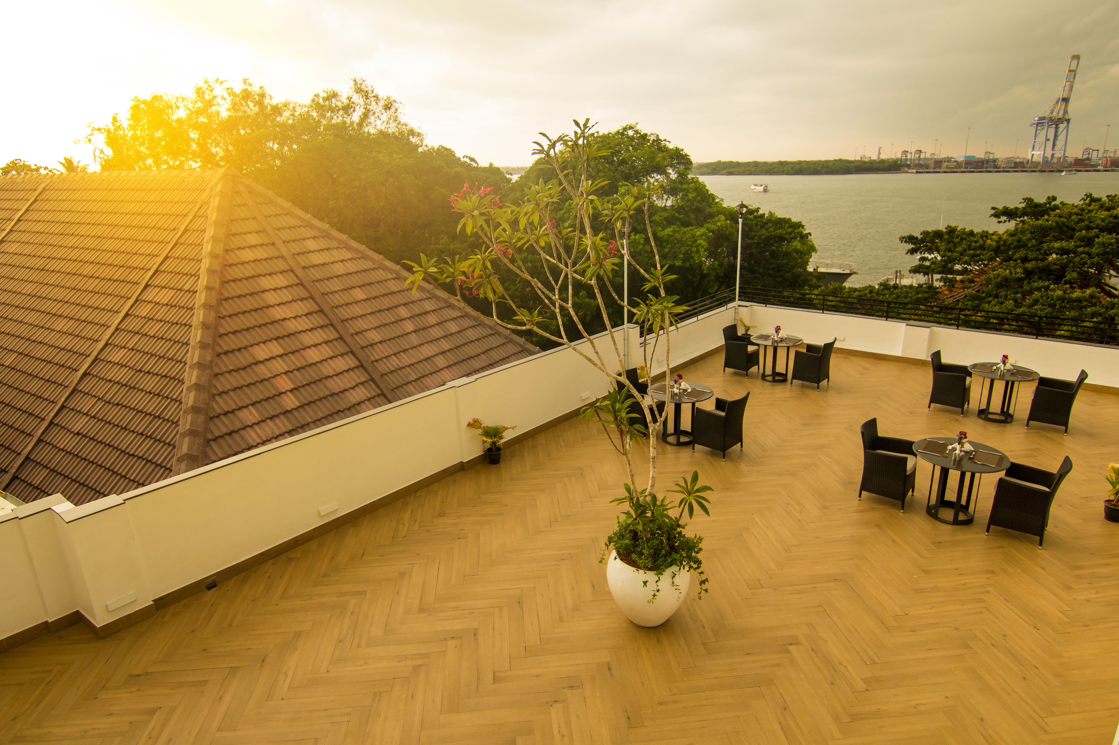 International cuisine