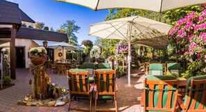 供应晚餐，地区菜