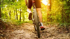 A person riding a bicycle on a forest trail. - Logis HOTEL Restaurant U'FREDY (La Clusaz)