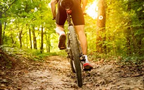 A person riding a bicycle on a forest trail. - Logis HOTEL Restaurant U'FREDY (La Clusaz)