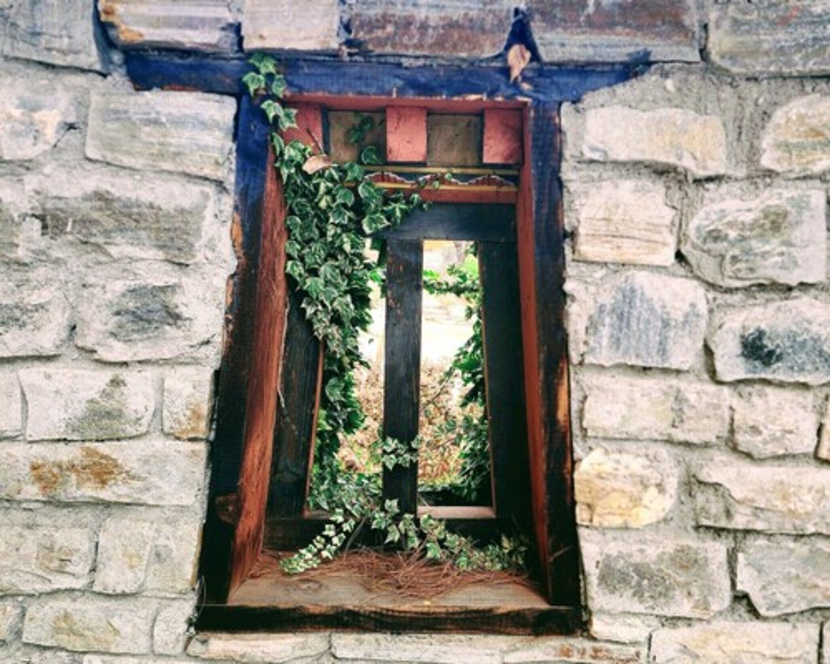 A stone wall with a window framed by wooden beams and covered in ivy.