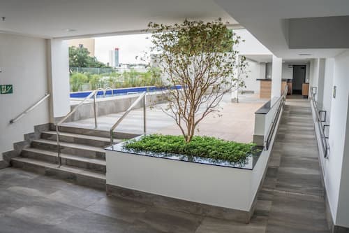 Jardin